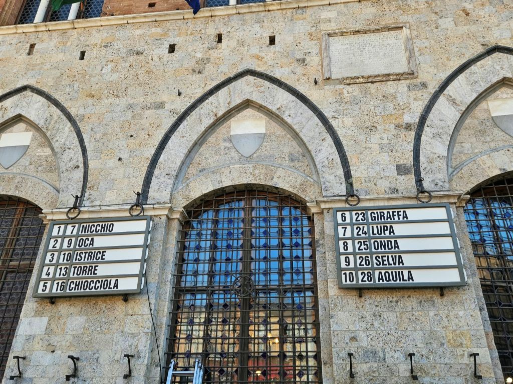Palio dell'Assunta: Conclusa l'assegnazione dei cavalli