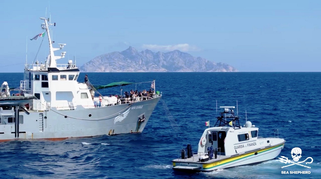 Pesca di frodo nell'Arcipelago Toscano: sequestrati 21 chilometri di reti e 1.700 trappole