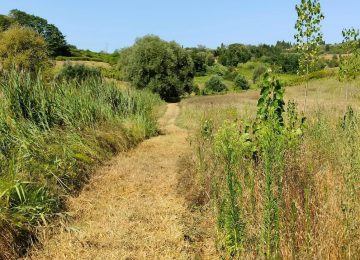 Terricciola: Avviati gli interventi per rilanciare 60 chilometri di sentieri naturali con il piano del Comune, in collaborazione con associazioni e privati.