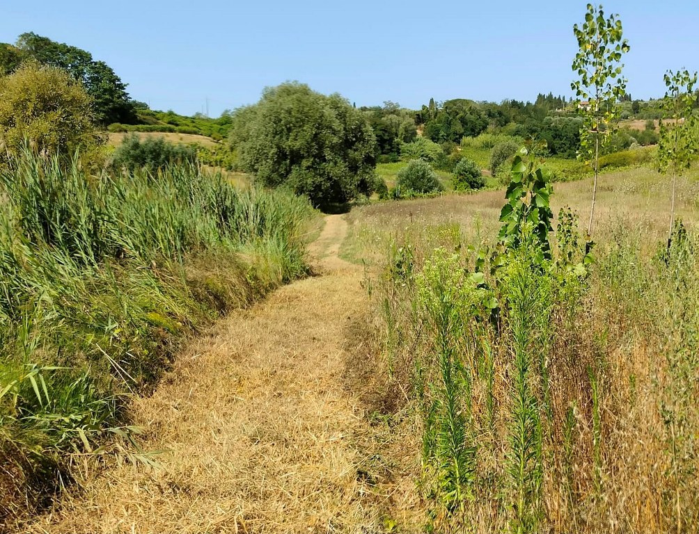 Terricciola: Avviati gli interventi per rilanciare 60 chilometri di sentieri naturali con il piano del Comune, in collaborazione con associazioni e privati.