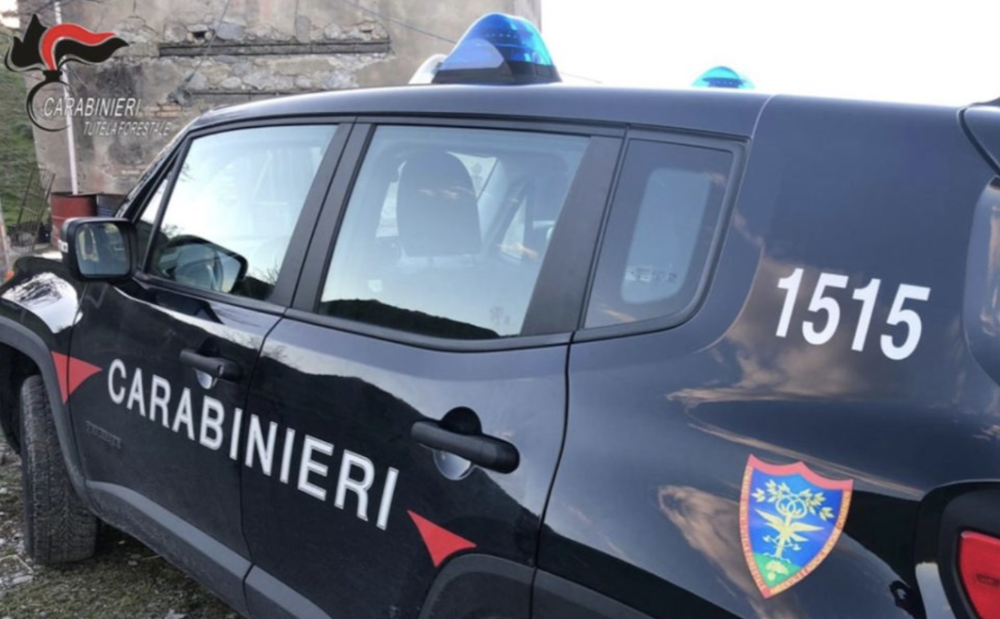 Uccide una biscia e condivide la foto sui social: denunciato nel Livornese