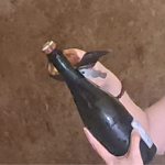 Vino: Vendemmia 2026 in Champagne – La più anticipata di sempre, una sfida ai cambiamenti climatici e al mercato