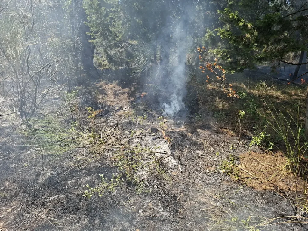 Incendio a Querciola di Fiesole: fiamme sotto controllo