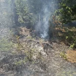 Incendio a Querciola di Fiesole: fiamme sotto controllo