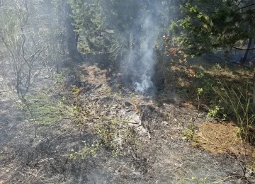 Incendio a Querciola di Fiesole: fiamme sotto controllo